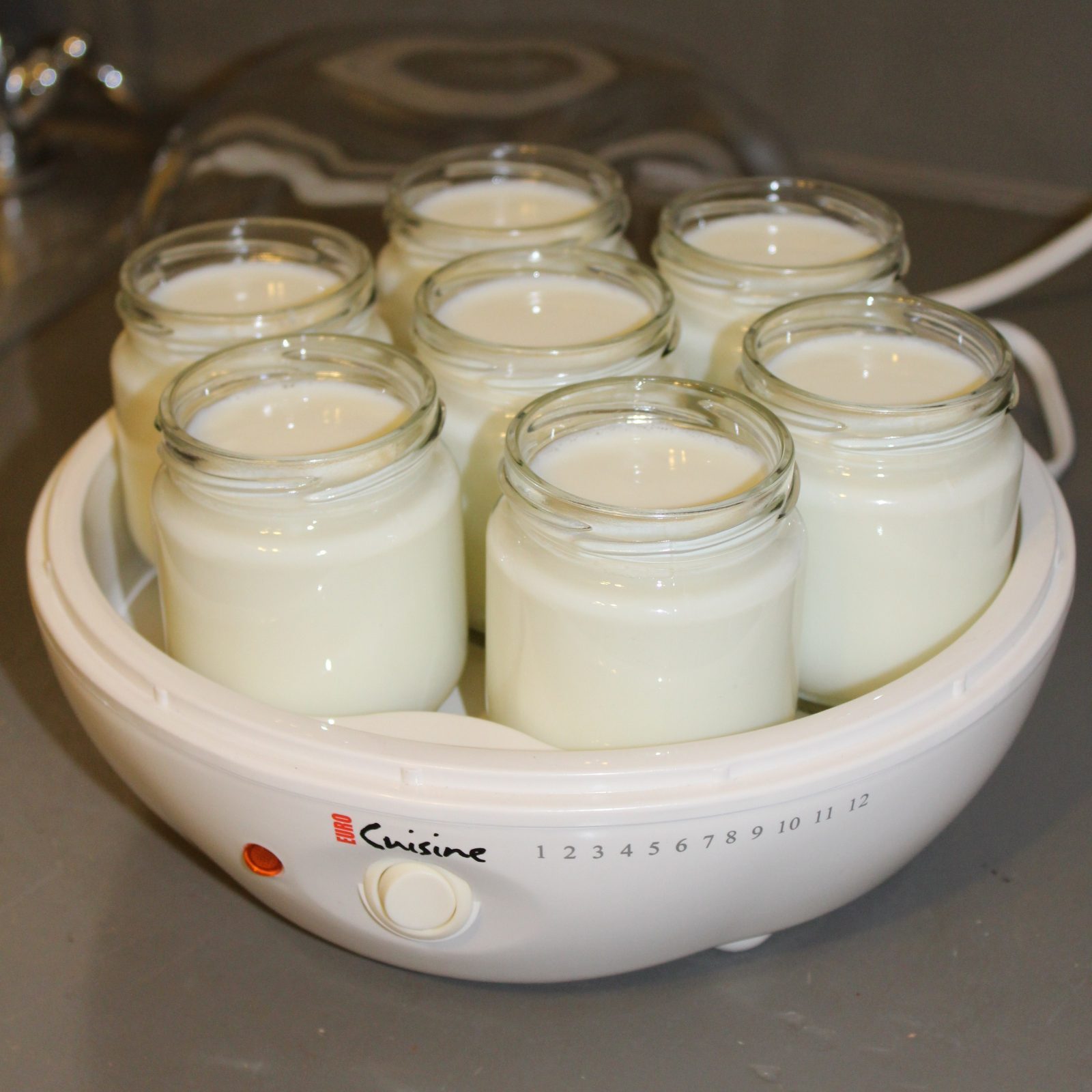 Euro Cuisine Glass Jars for Yogurt Maker Set of 8