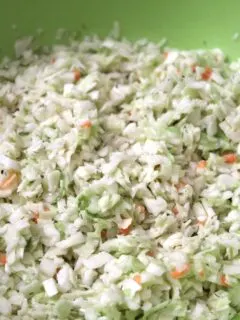 basic coleslaw dressing recipe