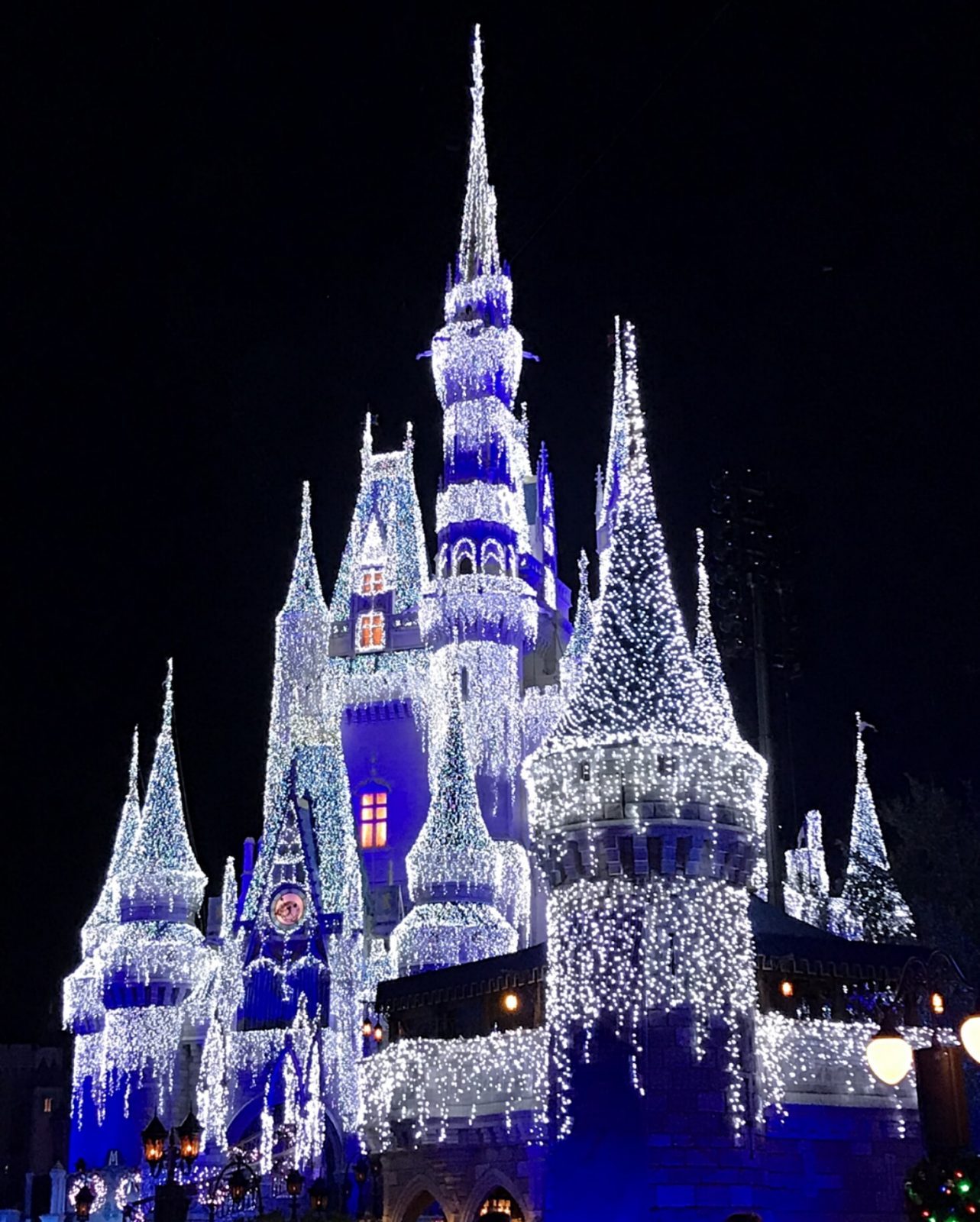 Walt Disney World Christmas Castle